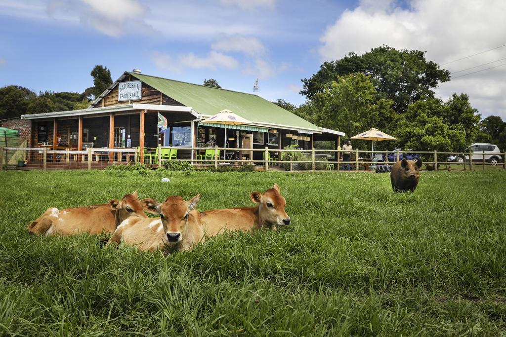 Natures Way Farm Cottage The Crags Eksteriør bilde
